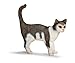 Schleich Standing Cat