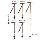 �G�o�j���[(EVERNEW) �R���p�N�gRT�X�e�b�L5S�T�N��