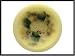 Search : Magnolia Wax Pottery Bowl