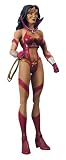 DC Universe Classics Wonder Woman Violet Lantern Collectible Figure