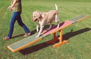Trixie 3213 Dog Activity Agility Wippe, 300 × 54 × 34 cm
