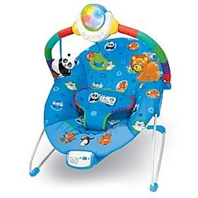 Baby Einstein Around the World Cradling Bouncer