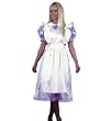 Plus Size Alice Costume