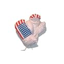 USA Flag Boxing Gloves Size Children's 6 Oz