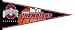 Ohio State Buckeyes 2006 Big Ten Basketball Champions Pennant
