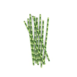 Kikkerland Biodegradable Paper Straws, Bamboo, Box of 144