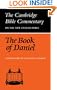 The Book of Daniel (Cambridge Bible Commentaries on the Old Testament)