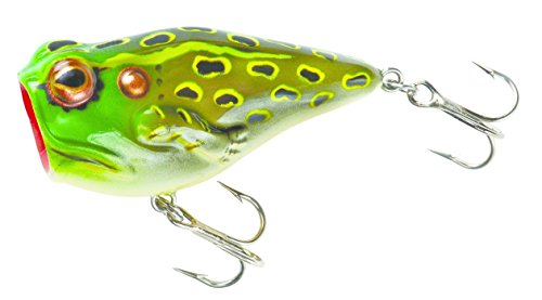 Rebel Pop'N Frog - Bull Frog