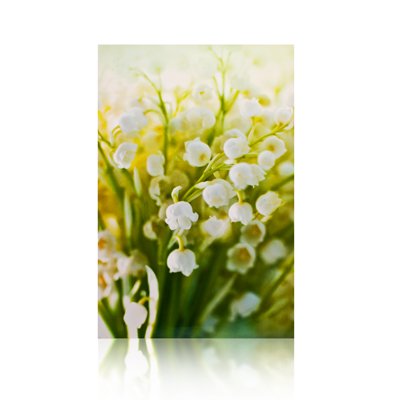 Lily of the Valley ( Muguet des Bois ) by Taylor of London Perfumed Drawer Lining Paper - 5 Sheets
