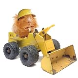 Heavy-Duty Guinea Pig Birthday Card