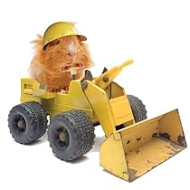 Heavy-Duty Guinea Pig Birthday Card