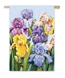 IRIS flower GARDEN patio decor FLAG YARD sign Art NEW