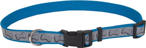 Lazer Brite Reflective Dog Collar - 12-18-Inches - Turquoise with Bones