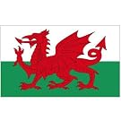 Kids Wales Printed Fleece Blanket