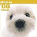   - Maltese 2008 Calendar
