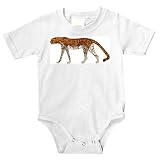 Onesie with endangered, captivity, cheetah, mammal, African, gepard, zoo, cat, animal, species, feline