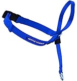 PetSafe Gentle Leader Headcollar, Medium, Royal Blue