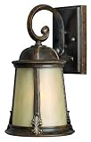 Coventry Regency Bronze Outdoor Wall Light Hinkley (1820RB)