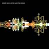 Bild des Albums von Robert Hood