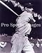 Joe DiMaggio New York Yankees 8x10 Photo