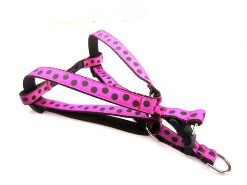 Medium Fuchsia Polka