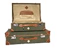 D'AOSTA PERGOLA 2 PIECE VINTAGE LUGGAGE SET TRAVEL SUITCASE DAOSTA