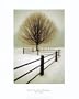 Solitude Art Poster Print by David Winston, 16x20