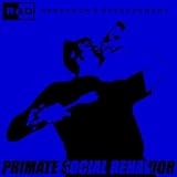 Primate Social Behavior