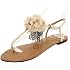 Naughty Monkey Womens Floral Sp