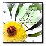 Follow Your Dreams Ladybug and Daisy Flower Inspirational Quotes - 10x10 Wall Clock