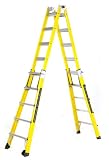 Buy Little Giant 10717LG 17-Foot Fiberglass Ladder Type 1A 2007 by Wing