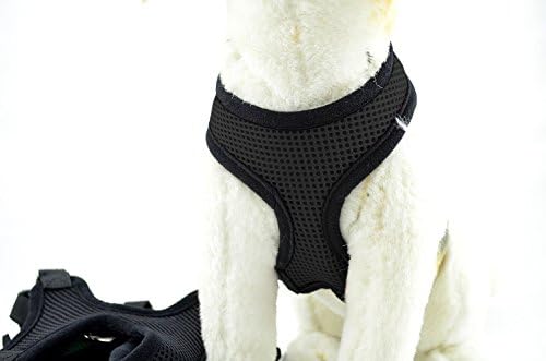 Dog Harness Pet Safe Control No Pull No Choke No Tugging Safety Strap Vest for Small to Large Dogs (Black, Large)
