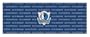 Dallas Mavericks Team Auto Rear Window Decal