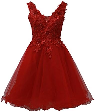 ALfany Women's Lace Bodice Short Prom Gown Homecoming Party Dress ALF063BG-US10