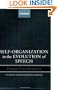 Self-Organization in the Evolution of Speech (Studies in the Evolution of Language)