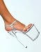 Fishbowl Clear Platform Image
