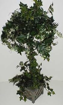 34" Sage Ivy Topiary Tree in Wooden Box