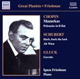 Ignaz Friedman: Complete Recordings, Vol. 3