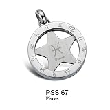 The Stainless Steel Jewellery Shop - Modern Stainless Steel Spinning Zodiac Pendant "Pisces" with a FREE 2.4mm 50cm Ball Chain