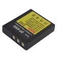 DS8330 DC8300 Digitalkamera Akku f�r Medion, Premier, Acer, Maginon, Minox, Avant & Megapix Voigtl�nder