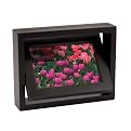 4x6 Frame In Motion - Black