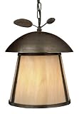 Aspen 15 1/2 High Dark Sky Outdoor Hanging Light