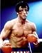 Sylvester Stallone Rocky Balboa 8x10 Photo