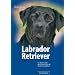 Labrador Retriever: Der Apportierer aus Leidenschaft als idealer Begleithund