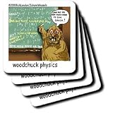 Londons Times Funny Animals Cartoons - Woodchuck Physics - Coasters