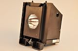 SELECT Samsung HLR5067WX/XAAHLR5078W Rear Projection Television Replacement Lamp RPTV