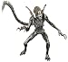 Aliens vs. Predator: Requiem Action Figure_s-2
