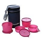 Signoraware <br>20% off or more</br>