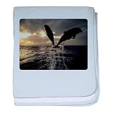 Baby Blanket Sky Blue Dolphins Flying in Sunset