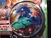 Bakugan Battle Brawlers B2 Bakuswap Legendary Series: B2 Blue/Green Wavern Booster Pack with Random Gate and Ability Card
